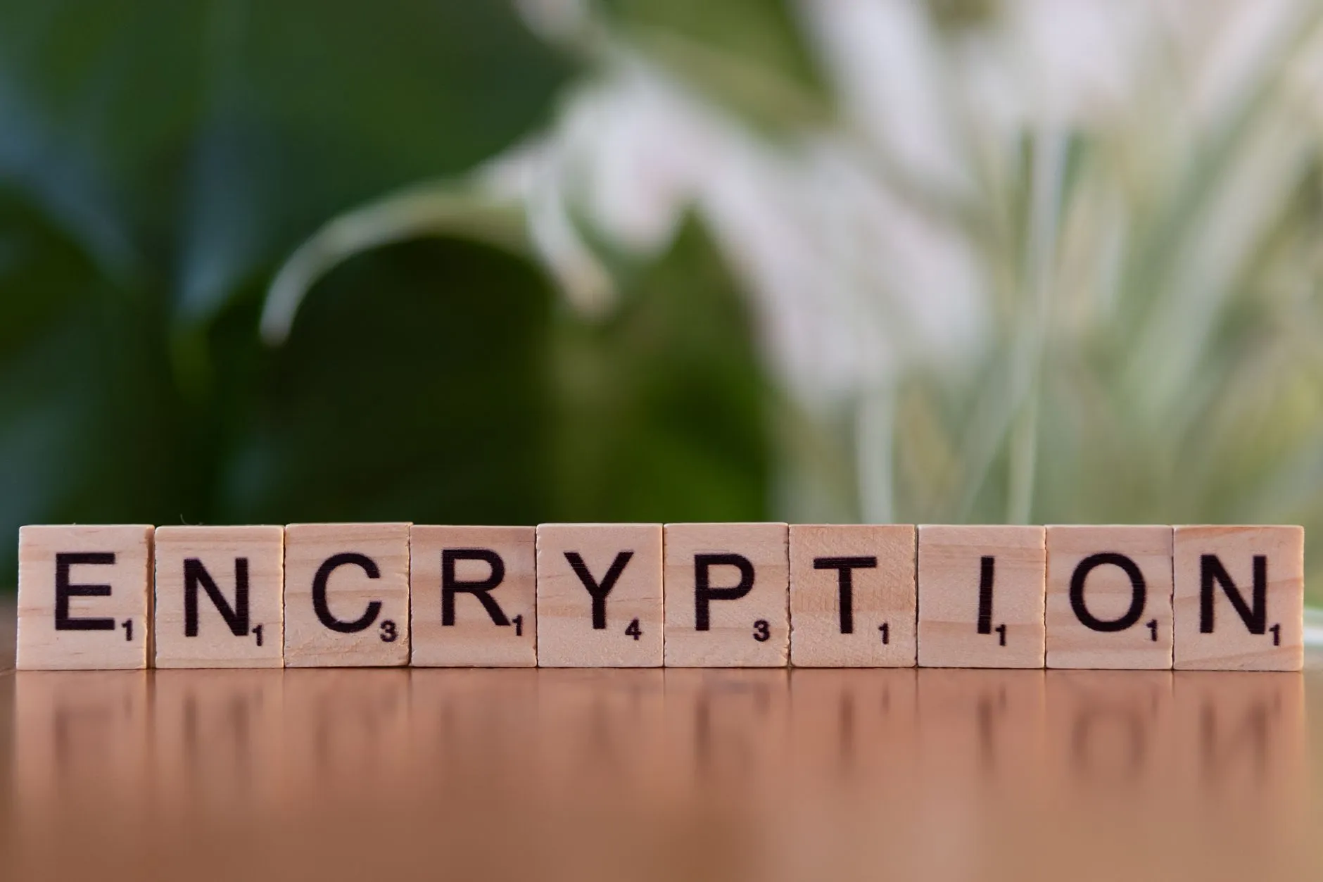 Ransomware no Brasil: Como Proteger Sua Empresa dos Ataques Mais Destrutivos