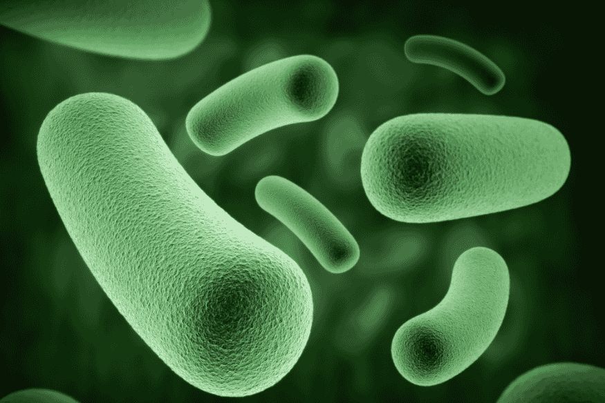 Representação 3D de bactérias verdes em fundo escuro