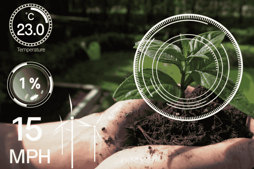 Mão segurando muda com gráficos digitais de sensores inteligentes na agricultura de precisão