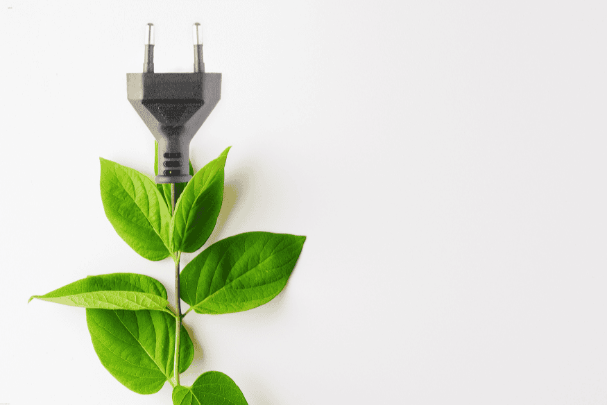 Tomada elétrica com folhas verdes simbolizando energia sustentável