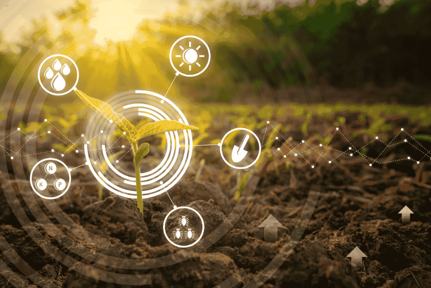 Broto crescendo com ícones digitais de tecnologia agrícola em ambiente iluminado pelo sol